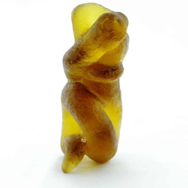 Fossilized Nini Blorong - Type A1 - Image 5