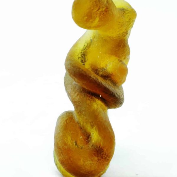Fossilized Nini Blorong - Type A2 - Image 4