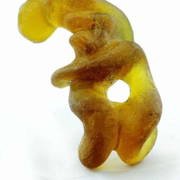 Fossilized Nini Blorong - Type A2 - Image 2
