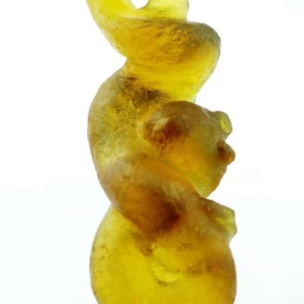 Fossilized Nini Blorong - Type A3 - Image 5