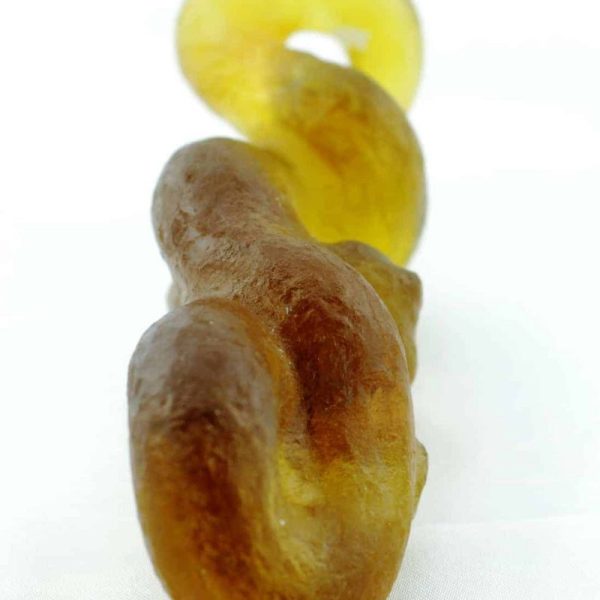 Fossilized Nini Blorong - Type A3 - Image 2