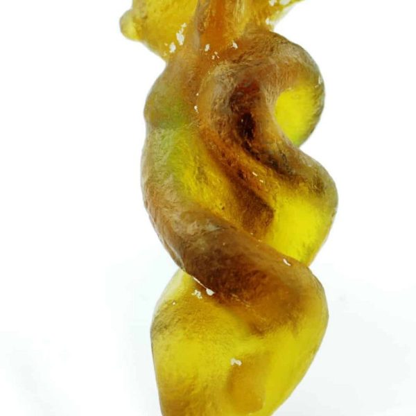 Fossilized nini Blorong - Type A5 - Image 4