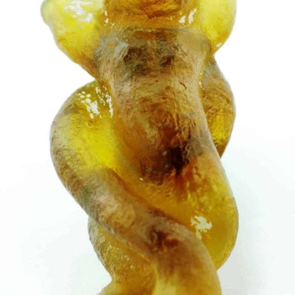 Fossilized nini Blorong - Type A5 - Image 2