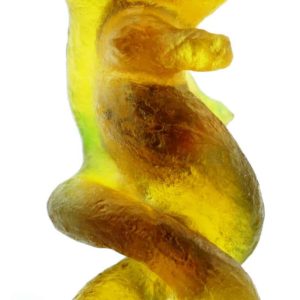 Fossilized Nini Blorong - Type A6