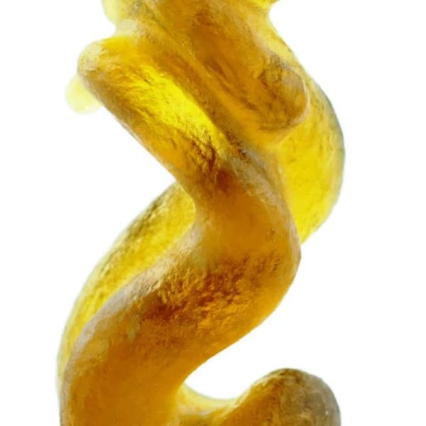 Fossilized Nini Blorong - Type A7 - Image 2