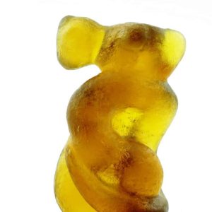 Fossilized Nini Blorong - Type A9