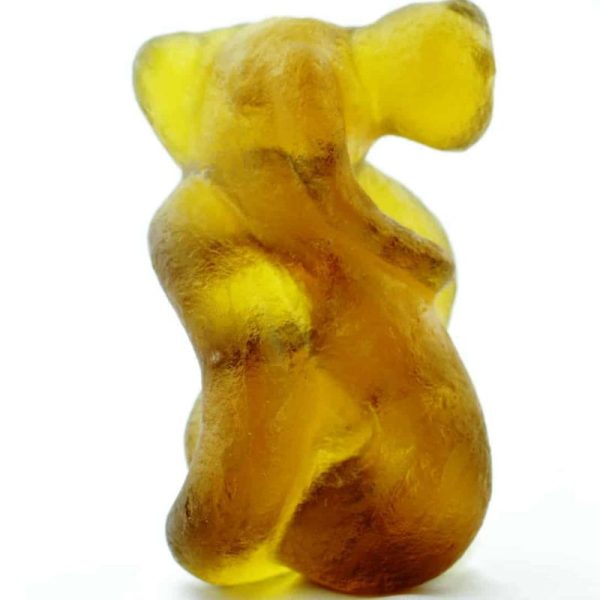Fossilized Nini Blorong - Type A9 - Image 5