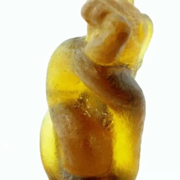 Fossilized Nini Blorong - Type A9 - Image 3