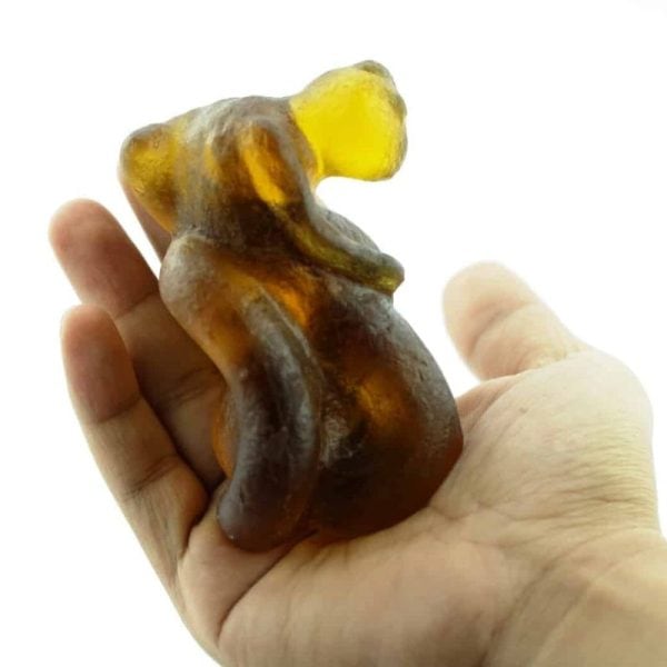 Fossilized Nini Blorong - Type A9 - Image 2