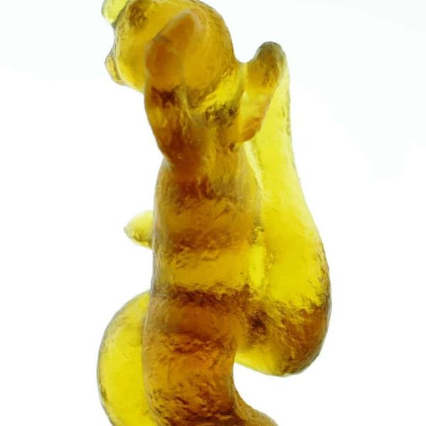 Fossilized Nini Blorong - Type A10 - Image 3