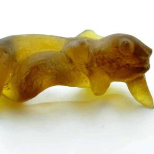 Fossilized Nini Blorong - Type A12