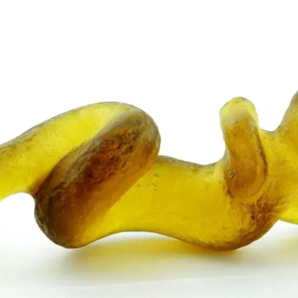 Fossilized Nini Blorong - Type A15