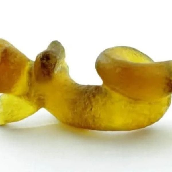 Fossilized Nini Blorong - Type A15 - Image 4