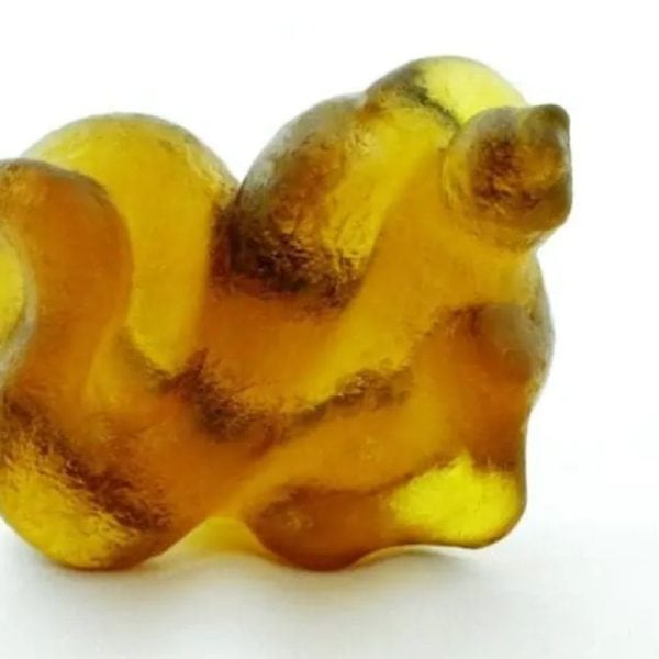 Fossilized Nini Blorong - Type A18