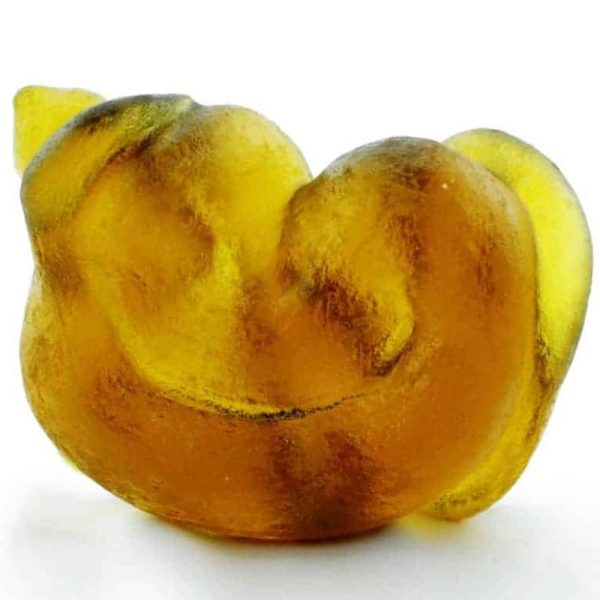 Fossilized Nini Blorong - Type A18 - Image 4