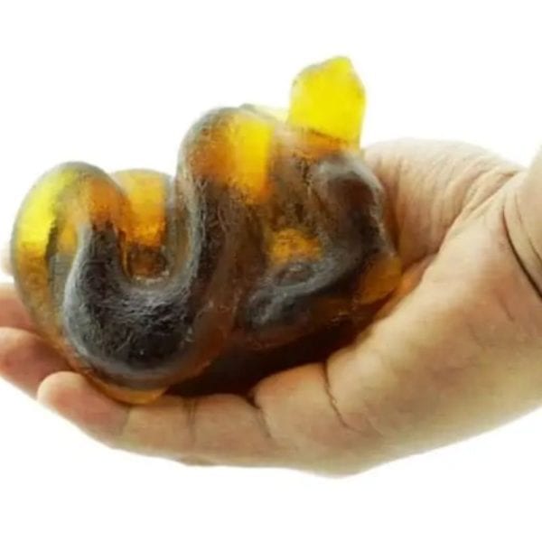 Fossilized Nini Blorong - Type A18 - Image 3
