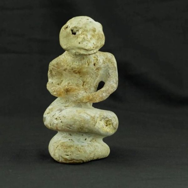 Fossilized Nini Blorong - Type B1