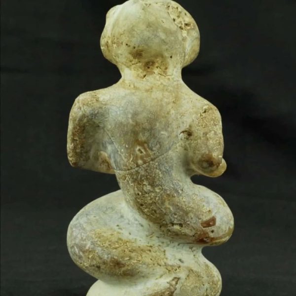 Fossilized Nini Blorong - Type B1 - Image 5