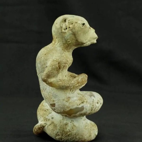 Fossilized Nini Blorong - Type B1 - Image 4