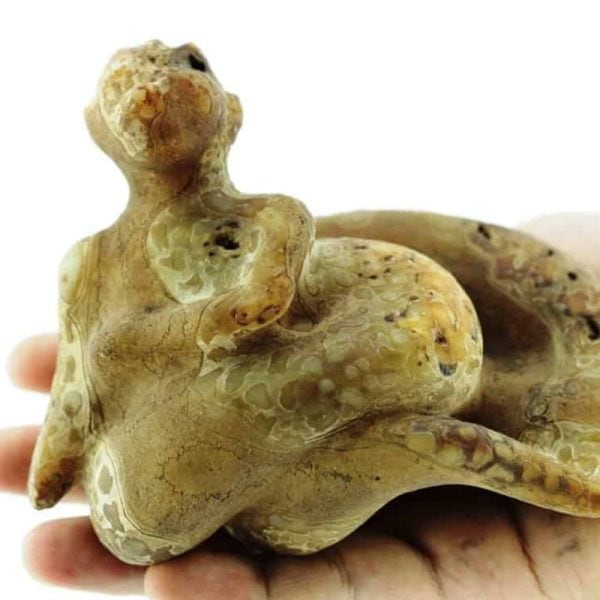 Fossilized Nini Blorong - Type B2---SOLD - Image 2