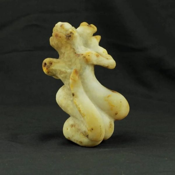 Fossilized Nini Blorong -  Type B3---SOLD - Image 4
