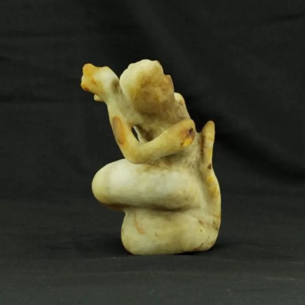 Fossilized Nini Blorong -  Type B3---SOLD - Image 3