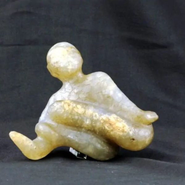 Fossilized Nini Blorong - Type B4