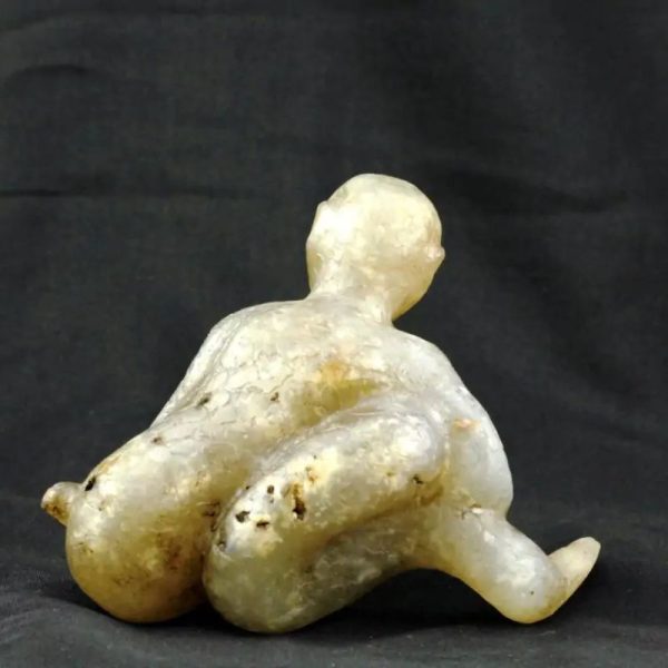 Fossilized Nini Blorong - Type B4 - Image 4