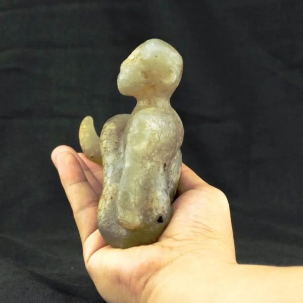 Fossilized Nini Blorong - Type B4 - Image 3