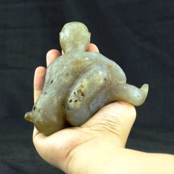 Fossilized Nini Blorong - Type B4 - Image 2