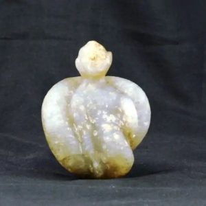Fossilized Nini Blorong - Type B5