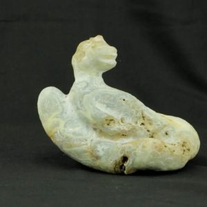 Fossilized Nini Blorong - Type B6---SOLD
