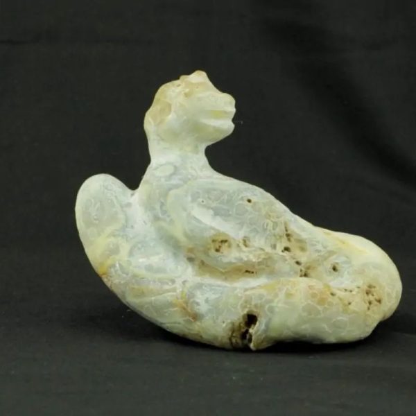 Fossilized Nini Blorong - Type B6---SOLD
