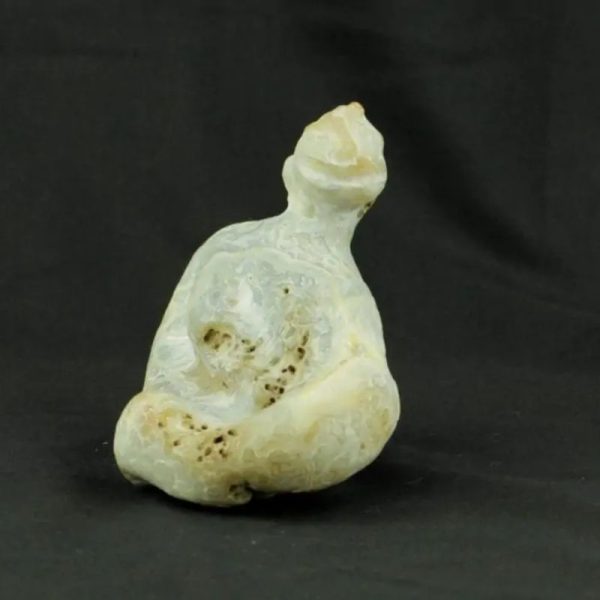 Fossilized Nini Blorong - Type B6---SOLD - Image 3