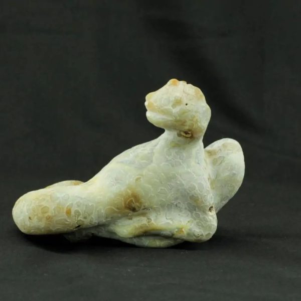 Fossilized Nini Blorong - Type B6---SOLD - Image 2