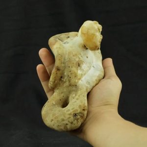 Fossilized Nini Blorong - Type B8