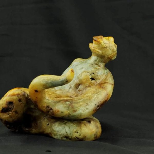Fossilized Nini Blorong - Type B11---SOLD - Image 6
