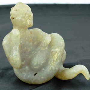 Fossilized Nini Blorong - Type B10