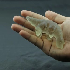 Fossilized White Crocodile Siluman - Type B3
