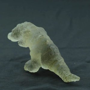 Fossilized White Crocodile Siluman - Type B4