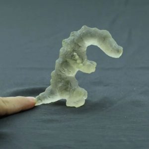 Fossilized White Crocodile Siluman - Type B10
