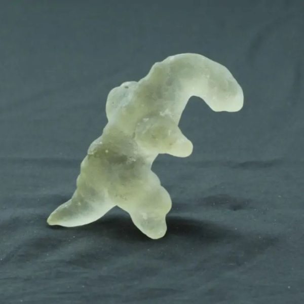 Fossilized White Crocodile Siluman - Type B12 - Image 3
