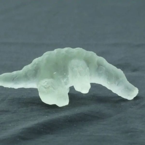 Fossilized White Crocodile Siluman - Type B13 - Image 2