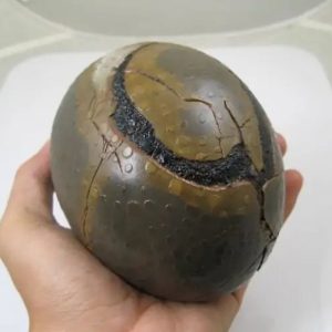 Earth Dragon Ball Pearl - Type M (Pair)