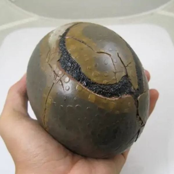Earth Dragon Ball Pearl - Type M (Pair)