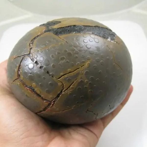Earth Dragon Ball Pearl - Type M (Pair) - Image 6