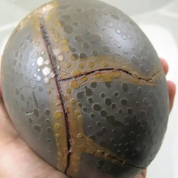 Earth Dragon Ball Pearl - Type M (Pair) - Image 5