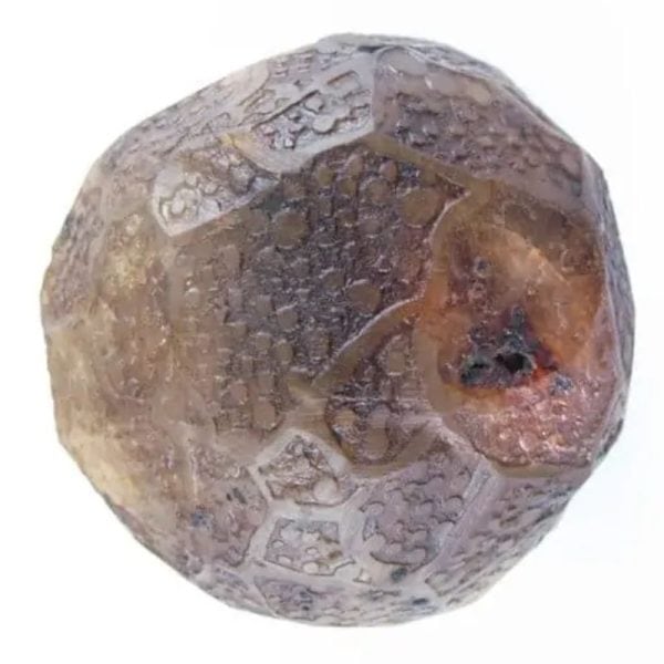 Earth Dragon Ball Pearl - Type K6 - Image 4