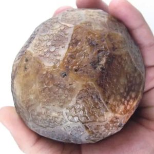 Earth Dragon Ball Pearl - Type K6
