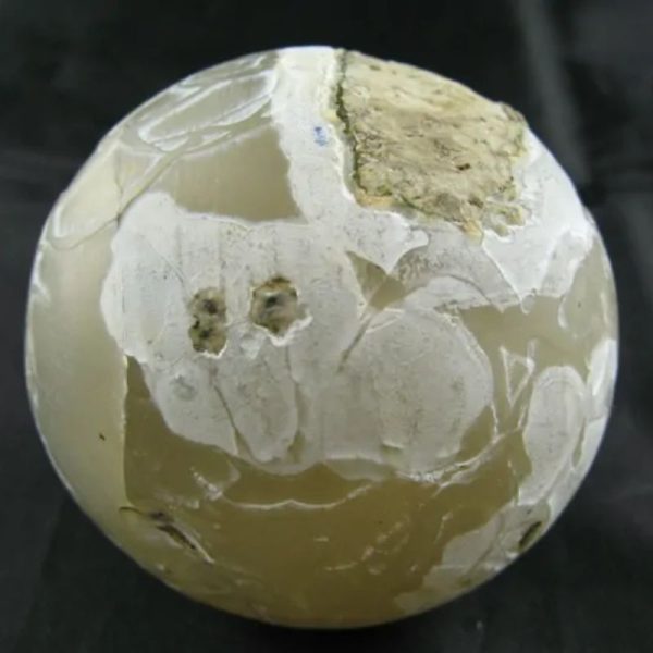 Earth Dragon Ball Pearl - Type A1 (White) - Image 7